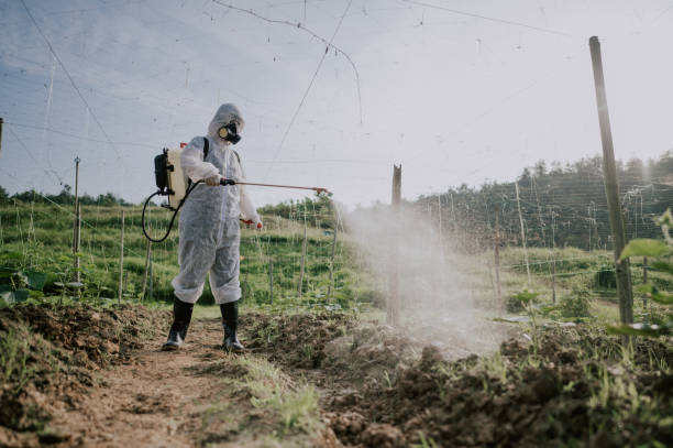 Best Affordable Pest Control Services  in Edgar, WI