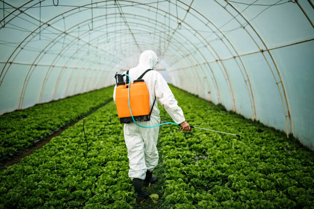 Pest Control for Restaurants in Edgar, WI
