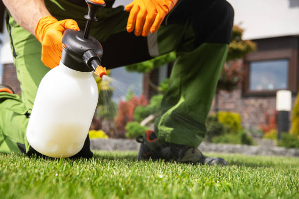 Best Bird Control  in Edgar, WI
