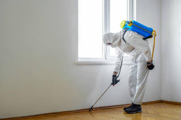 Best Emergency Pest Control  in Edgar, WI