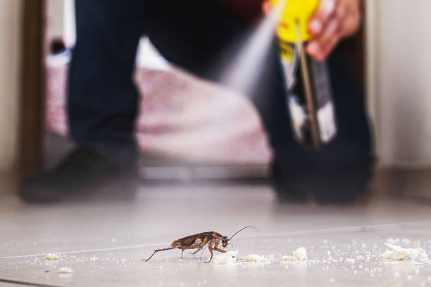 Best Pest Control Near Me  in Edgar, WI